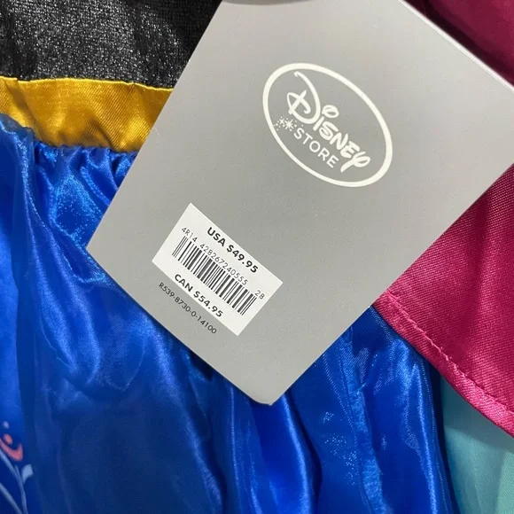 COPY - NWT Disney Deluxe Ana Costume